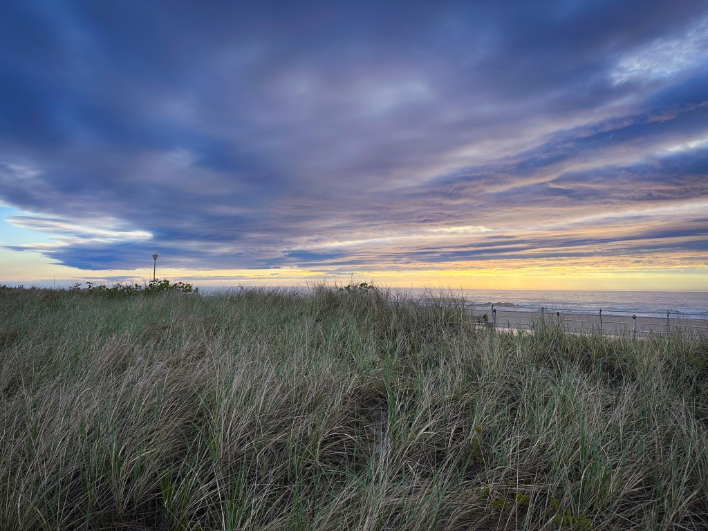 Now is the time to seize the climate&nbsp;opportunity