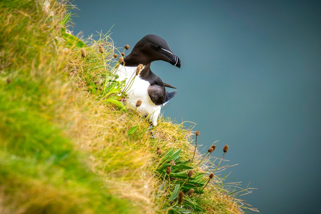 Eliminating climate data increases&nbsp;liability