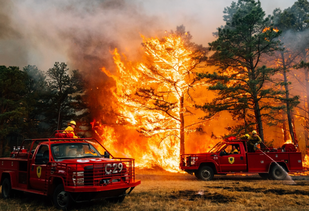 ICJ finds climate action is a legal&nbsp;responsibility