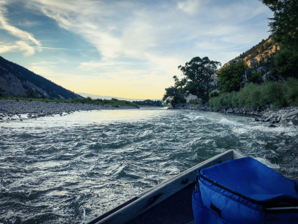 Government has an implicit duty not to aid polluters