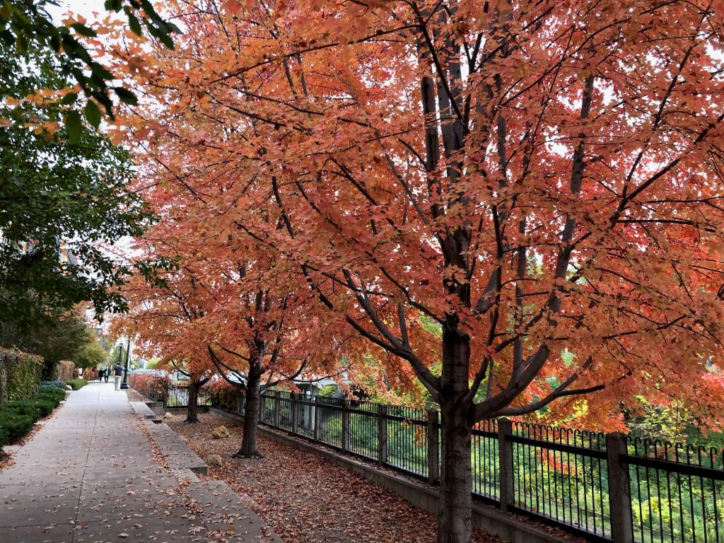 Leading locally just got much more&nbsp;important